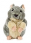Preview: Chinchilla sitzend